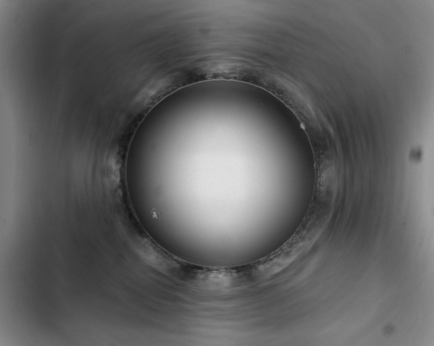 X0000102790282200808181307