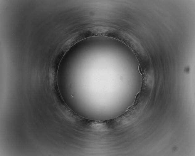 X0000102790283200808181307
