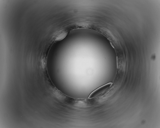 X0000102790285200808181307