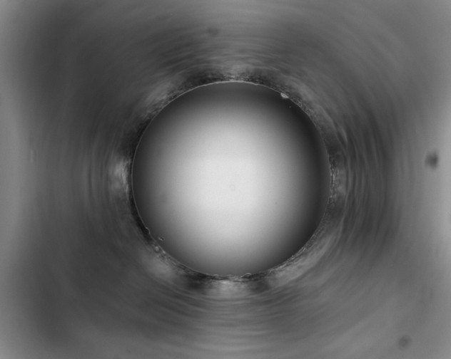 X0000102790286200808181308