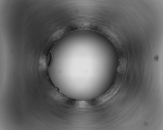 X0000102790287200808181308
