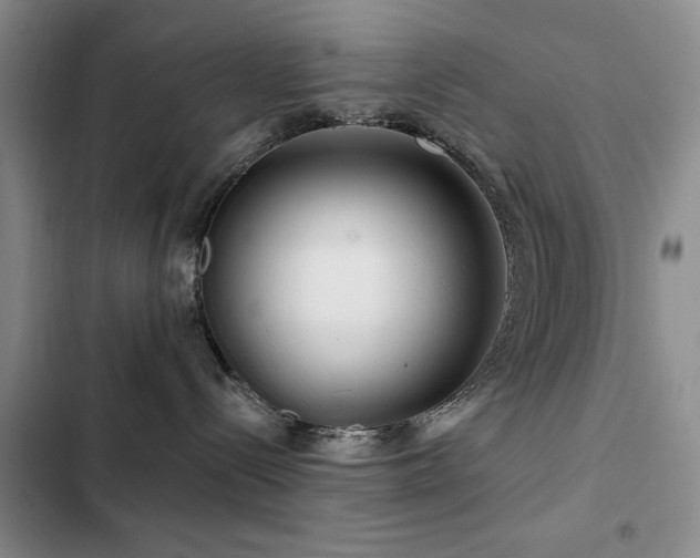 X0000102790288200808181308
