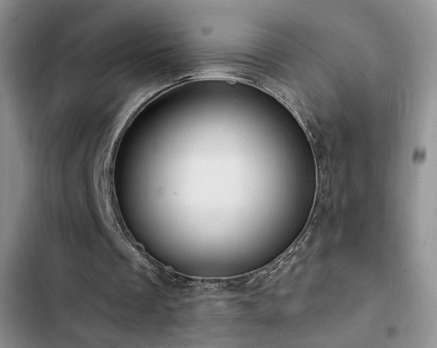 X0000102790289200808181307
