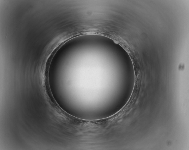 X0000102790290200808181307