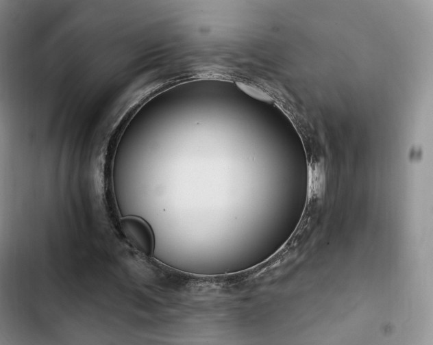 X0000102790291200808181307