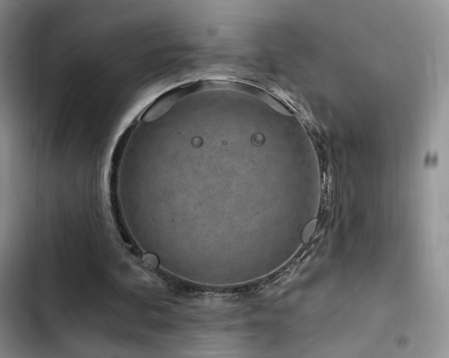 X0000102790292200808181307