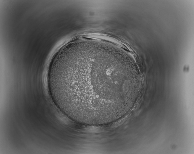 X0000102790293200808181307