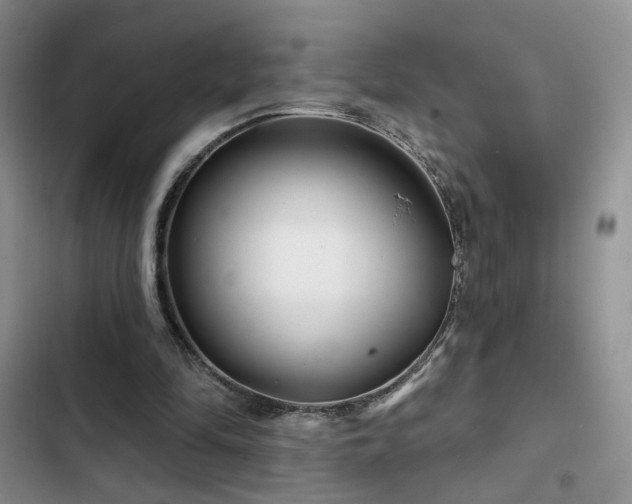X0000102790294200808181307