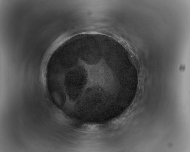 X0000102790295200808181307