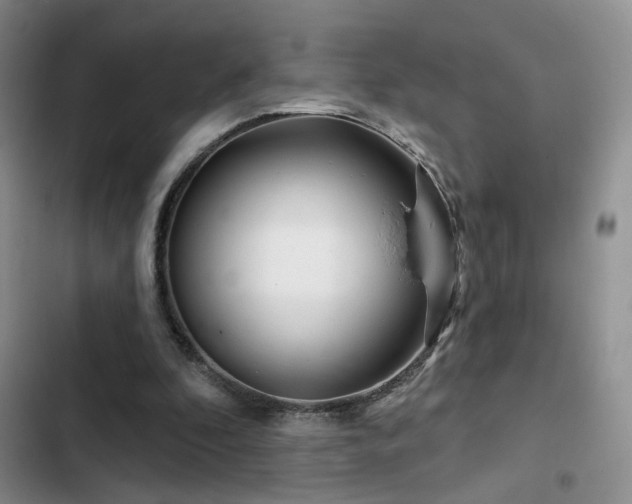 X0000102790296200808181307