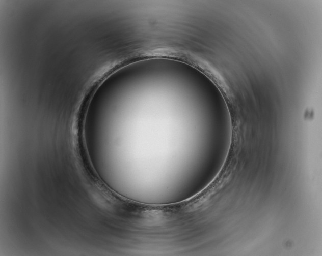 X0000102790298200808181307
