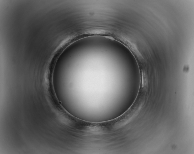 X0000102790300200808181307