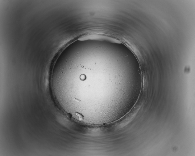 X0000102790301200808181307