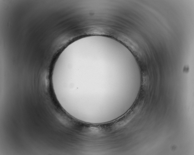 X0000102790302200808181307