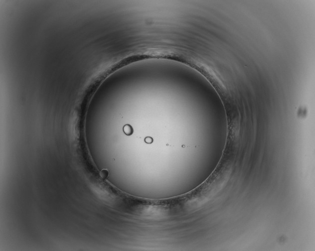 X0000102790303200808181307