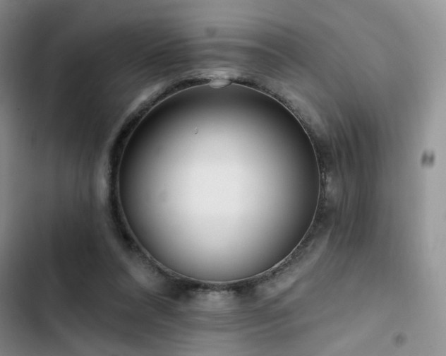 X0000102790304200808181306