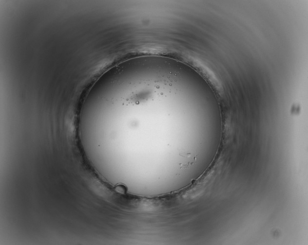 X0000102790305200808181306