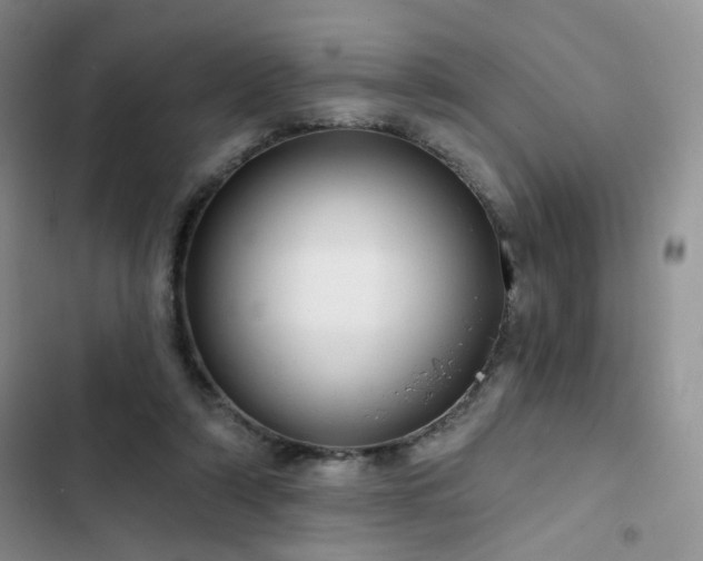X0000102790306200808181306
