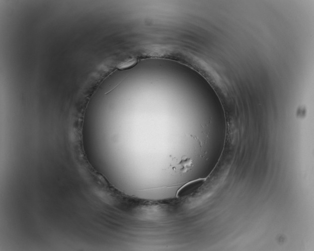 X0000102790307200808181306
