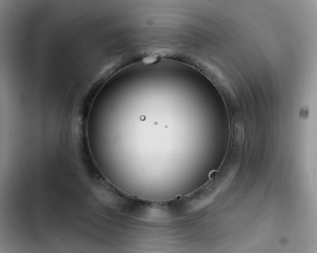 X0000102790308200808181306