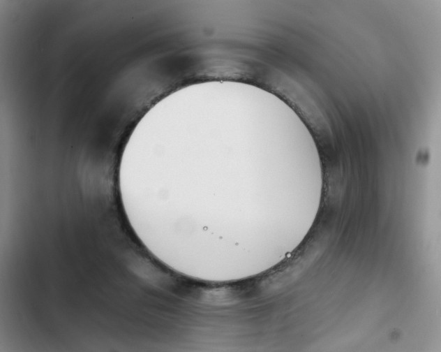 X0000102790309200808181306