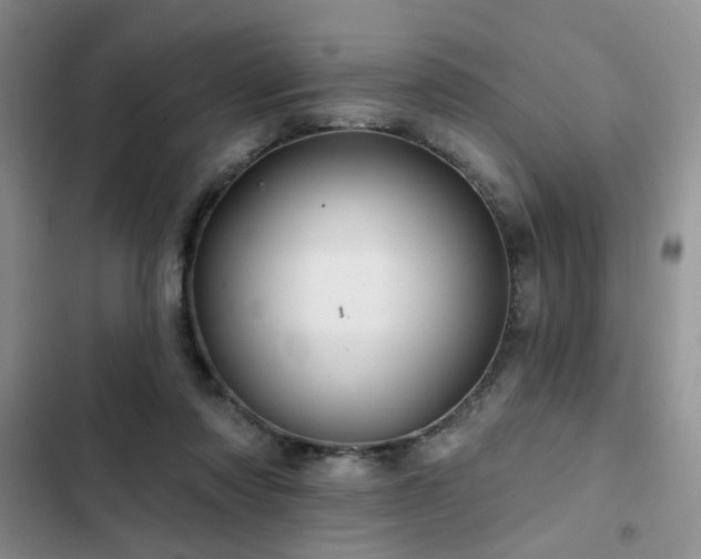 X0000102790310200808181306