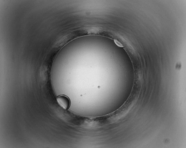 X0000102790311200808181306