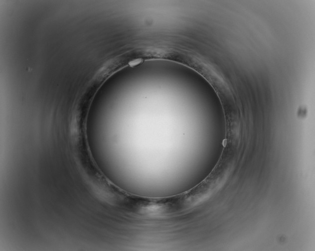 X0000102790312200808181306