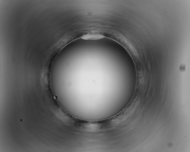 X0000102790313200808181306