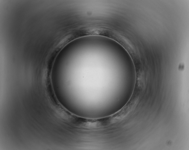 X0000102790314200808181306