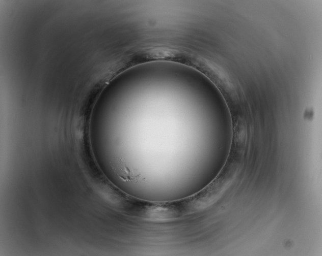 X0000102790315200808181306