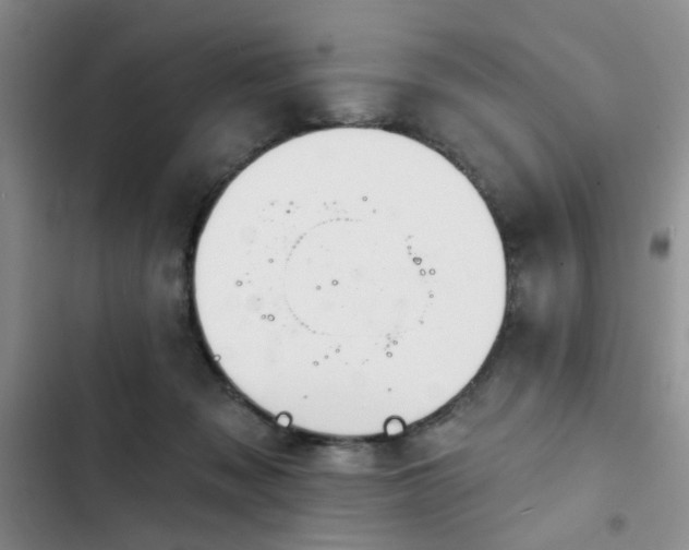 X0000102790317200808181306