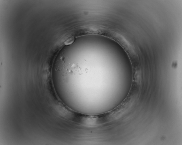 X0000102790318200808181306