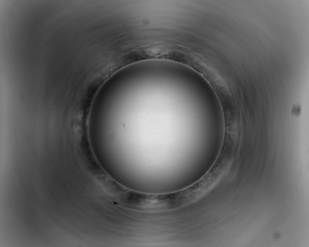 X0000102790319200808181306