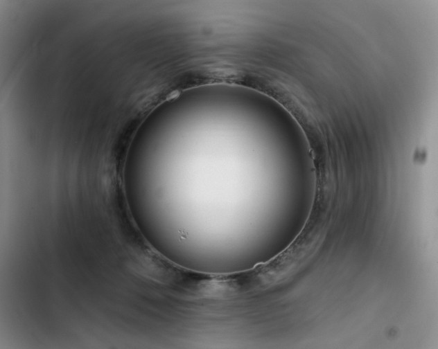 X0000102790320200808181306