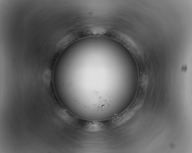 X0000102790321200808181306
