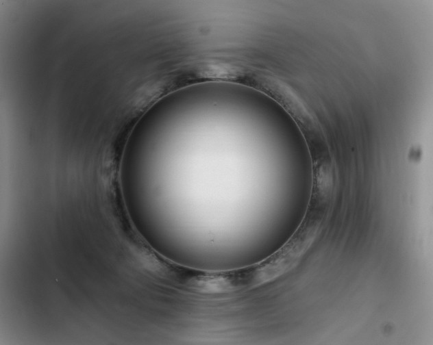 X0000102790322200808181306