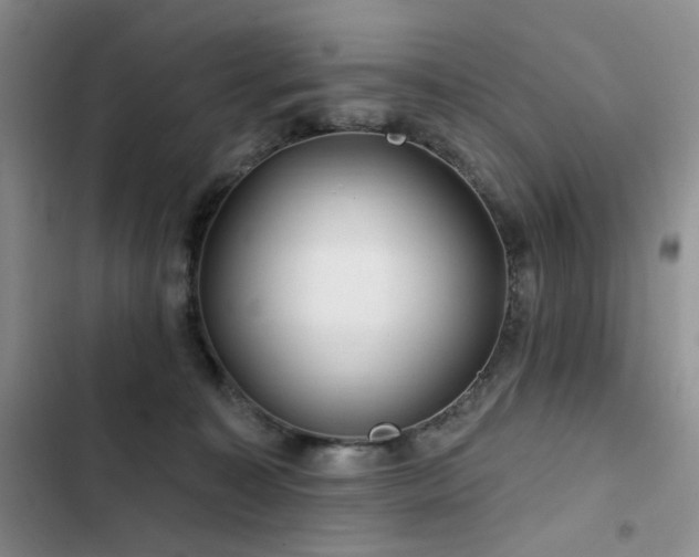 X0000102790323200808181306