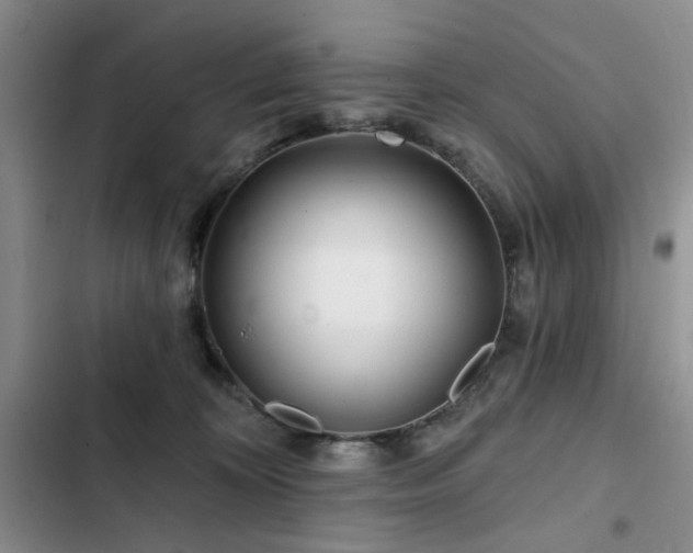 X0000102790324200808181306