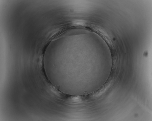 X0000102790325200808181306