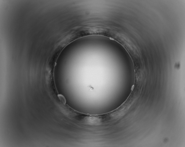 X0000102790327200808181306