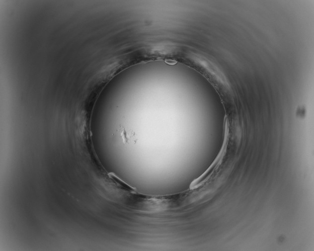 X0000102790328200808181306
