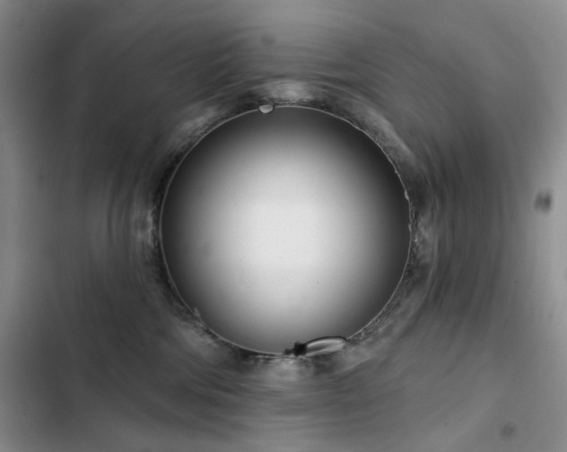 X0000102790330200808181306