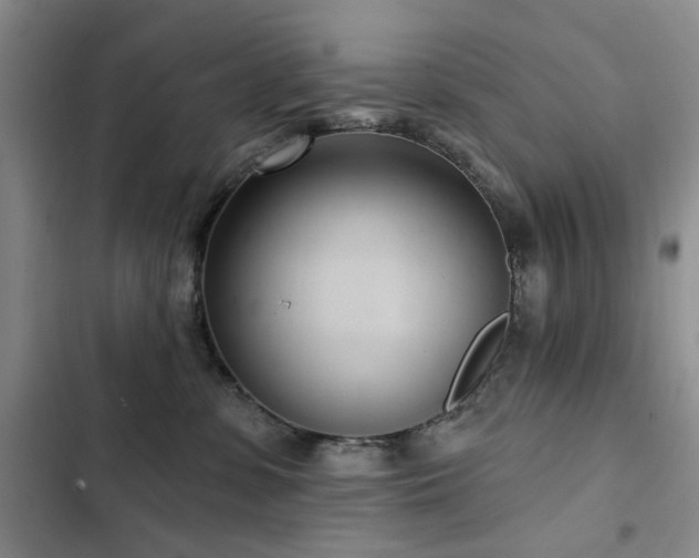 X0000102790331200808181306