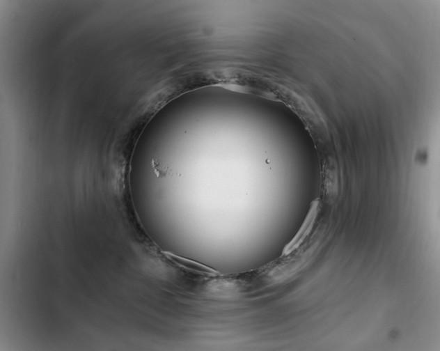 X0000102790332200808181306