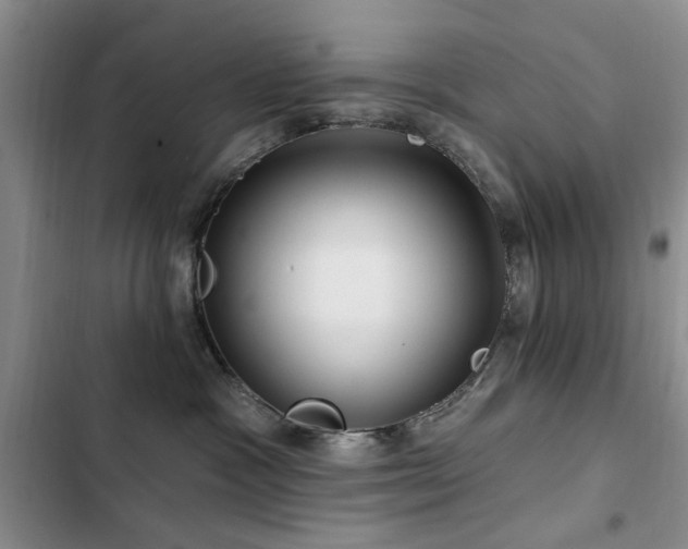 X0000102790333200808181306