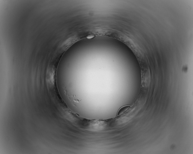 X0000102790334200808181306