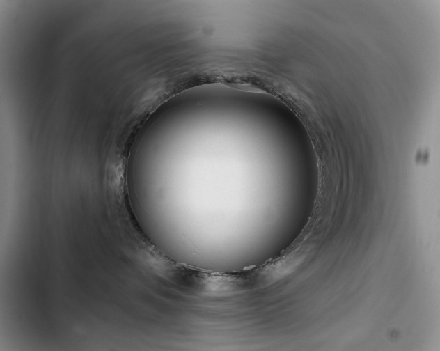 X0000102790336200808181306