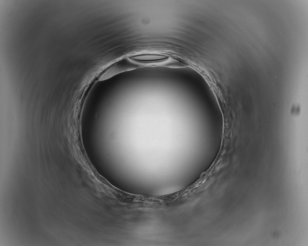 X0000102790337200808181305