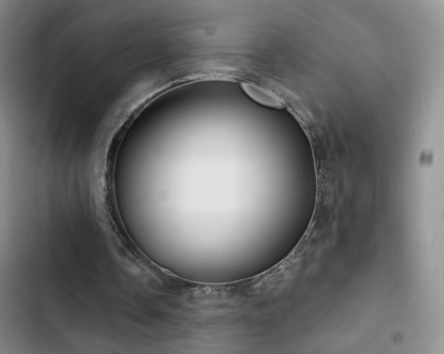 X0000102790338200808181305